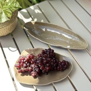 Irregular & Oval Shape Serving Plate